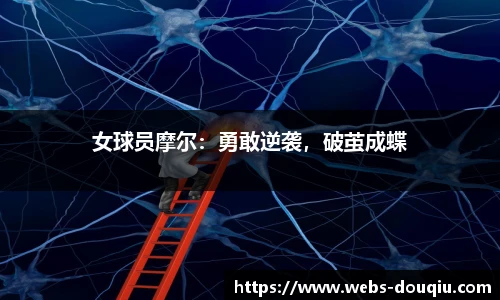斗球体育直播